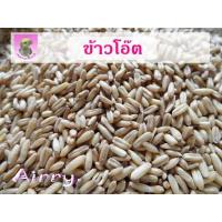 ราคา ข้าวโอ๊ต ธัญพืช สำหรับนก และ สัตว์เลี้ยง (10444562917)