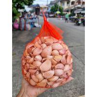 ราคา พร้อมส่ง กระเทียมจีนแกะกลีบ ขนาด 500g 1 กิโล (23018554685)
