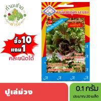 ราคา 3A ซื้อ10แถม1 เมล็ดพันธุ์ ปูเล่ม่วง ขนาด0 1กรัม ประมาณ20เมล็ด DRNAMENTAL CABBAGE เคล ปูเล่ เมล็ดพันธุ์พืช เมล็ดผัก ปลูกผักสวนครัว (8110394108)