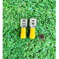 ราคา หางปลาเสียบแบน ตัวเมีย 20ชิ้น (21431603442)