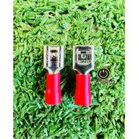 ราคา หางปลาเสียบแบน ตัวเมีย 20ชิ้น (21431603438)