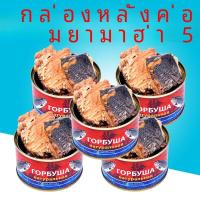 ราคา รัสเซียนําเข้าปลาแซลมอนปลา Openers กลางแจ้ง Camping Ready To Eat เนื้อปลากระป๋องใช้ในบ้าน 250g กระป๋อง (22463162088)