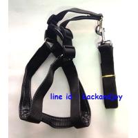 ราคา รัดอกสายจูง สายจูงสุนัข สายจูงหมา สำหรับน้องหมาไซส์ใหญ่ (14015536696)