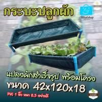 ราคา กระบะปลูกผัก แสนดี แปลงผักสำเร็จรูป พร้อมโครง PVC 1 นิ้ว หนา 8 5 อย่างดี ถุงกระบะปลูกผัก Farmpickup (22596425152)