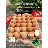 ราคา ไข่ไก่ ส่งฟรี 30ฟอง ไข่ไก่สดใหม่ เบอร์0 (22756806916)