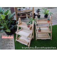 ราคา ชั้นวางของ ชั้นวางแคตตัส ไม้สัก3ชั้นมินิ สินค้าขายดี (4304538666)