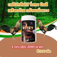 ราคา ของแท้ เซียนไก่เวย์ เวย์โปรตีนไก่ชน วิ่งทน บินดีไม่มีตกเสริมกล้ามเนื้อ บำรุงไก่ชน เสริมกระดูก 1 กระปุก 200 แค็ปซูล (23078520161)