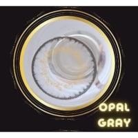 ราคา คอนแทคเลนส์ บิ๊กอาย Opal Brown Gray Montra ลายฮิต ขายดีมาก กรองแสงกันยูวี (21550316605)