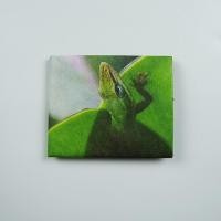 ราคา DuPont Tyvek Wallet Paper Feel น้ำหนักเบา ทนต่อการฉีกขาดกันน้ํารูปทรงแนวนอนสไตล์สั้นสําหรับเยาวชน (23115571696)
