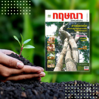 ราคา หนังสือ กฤษณา ไม้หอมหมื่นล้าน สารพันเทคนิคการกระตุ้นให้เกิดสารเรซิ่นในเนื้อไม้กฤษณา ปลูกกฤษณาไม่ให้ตาย ตลาดกฤษณา สาพันธุ์กฤษณา (14816494007)