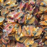 ราคา หอยแมลงภู่ตากแห้ง หอยตากดราย หอยแห้ง 250 กรัม (22767389370)