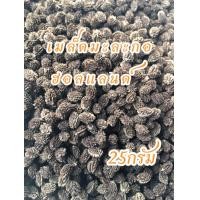 ราคา เมล็ดพันธุ์ มะละกอฮอลแลนด์ 25กรัม (23107368173)