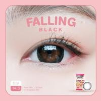 ราคา คอนแทคเลนส์ คิตตี คาวาอิ Falling (21504699911)