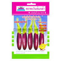 ราคา เมล็ดพันธุ์ มะเขือม่วงลิง หยกม่วง ตราตะวันต้นกล้า (1439478504)