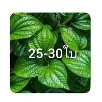 ราคา เครื่องเมี่ยงคำโบราณสี่คูณสี่ 4ถ้วย 4ออนซ์ เมี่ยงคำ คุณสาระ สุดคุ้ม สะดวก คลาสสิค ถั่วลิสงคั่วมะพร้าวคั่วเมี่ยงคำหั่นมือกุ้งแห้งคละไซน์น้ำเมี่ยงคำโบราณ ฟรี เครื่องปรุงน้ำเพิ่ม แยกให้ จะเก็บไว้ทานก็ง่า