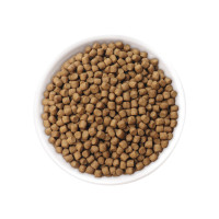 ราคา JPD YAMATO COLOR ENHANCER DIET 5KG เจพีดี อาหารปลาคาร์ฟพรีเมี่ยม สูตรเร่งสี 5 kg เลือกในรายการ (20899222272)