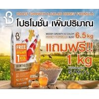 ราคา อาหารปลา อาหารปลาคาร์ฟBoost น้ำผึ้งบรรจุ6 5กก เพิ่มปริมาณ1kg Boost Koi Growth Color Honey Formula เร่งสีเร่งโต (22395444757)