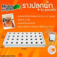 ราคา รางปลูกผักไฮโดรโปนิกส์ รุ่น ซุปเปอร์บิ๊ก ระบบน้ำนิ่ง จำนวน 32 หลุม ยาว 80 cm ระยะห่างต่อหลุม 9 cm เหมาะสำหรับปลูกผักไทย (22663470365)