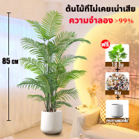 ราคา Con ต้นไม้ปลอม พร้อมกระถางและหินสีขาว ความจำลอง 99 ต้นไม้มงคลปลอม ต้นไม้เทียม 18 24ใบ ต้นไม้ปลอมใหญ่ ของแต่งบ้าน แต่งห้อง (22842885516)