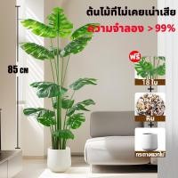 ราคา ต้นไม้ปลอม ฟรีกระถางดอกไม้ต้นไม้ หินตกแต่ง ต้นไม้ปลอมใหญ่ ต้นไม้เทียม 105cm 33ใบ ต้นไม้มงคลปลอม ความจำลอง 99 มีคุณภาพ (22932755542)