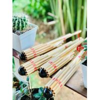 ราคา โหวดคีย์ Am สำหรับออกงาน (9223705613)