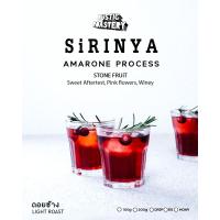 ราคา เมล็ดกาแฟคั่วอ่อน Sirinya Amarone Process ดอยช้าง 100g 200g (22420549063)