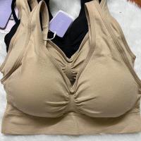 ราคา เสื้อชั้นใน ซาบีน่า sabina freesize sbxa989 happy braตะขอหลัง ใส่สบาย ระบายอากาศ (21608820607)