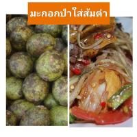 ราคา พร้อมส่ง มะกอกป่าใส่ส้มตำ มะกอกป่าตามฤดูกาล รสหอม เปรี้ยวอมหวาน ใส่ส้มตำ ต้มปลา ป่นกุ้ง รสชาติอร่อย (23040840438)