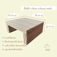 ราคา ชั้นไม้มินิ ชั้นวางโมเดล ชั้นวางแคคตัส ชั้นวางของสะสม (22844436208)