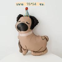 ราคา NEW ฟอยล์หมา น้องหมา หมา สุนัข ลายใหม่น่ารักสุดๆ (22846493711)