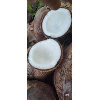 ราคา มะพร้าวแกง มะพร้าวไส้ขนม (21405543504)