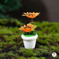 ราคา กระถางดอกไม้จิ๋ว ตุ๊กตาจิ๋ว โมเดลจิ๋ว แต่งสวน ตุ๊กตาแต่งสวนจิ๋ว ตุ๊กตาจัดสวนถาด (22522178485)