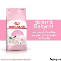ราคา กระสอบ Royal Canin Cat อาหาร แมว 10 กิโล (22647464005)