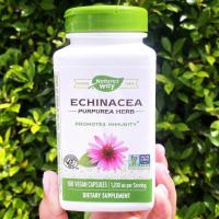 ราคา 20 OFF สินค้าราคา Sale โปรดอ่านรายละเอียดสินค้า EXP 03 2025 สารสกัดเอ็กไคนาเซีย Echinacea Purpurea Herb 1200 mg 180 Vegan Capsules Natures Way (22774208419)