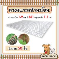 ราคา ถาดเพาะกล้านาโยน 561 หลุม จำนวน 50 ชิ้น ถาดเพาะต้นข้าว ถาดเพาะนาโยน เพาะกล้าข้าว ถาดนาโยน ถาดเพาะกล้า (21998279160)