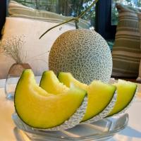 ราคา อิชิบะ โควจิ เมล็ดละ 5 บาท เมล็ดเมล่อน Ichiba Kouji เมล็ดพันธุ์ เมล่อนเนื้อเขียว แบ่งจำหน่าย (12002013633)