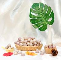 ราคา กระเทียมโทนสดเม็ดใหญ่ (18446847485)