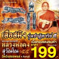 ราคา เสือสมิง เนื้อทองแดงรมดำ รุ่นปาฏิหาริย์ 5 หลวงพ่อคง วัดวังสรรพรส จ จันทบุรี ปี 55 (22626038108)