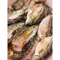 ราคา ปลาส้มแม่พิกุล ปลาส้มปลาตะเพียน 2ตัวขนาด 500กรัม ใช้ปลาเป็น สดทุกตัว หมักเข้ารสด้วยกระเทียมอย่างดี (21932626084)