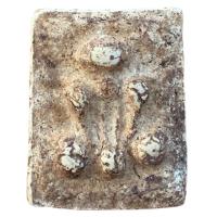 ราคา พระปิดตา อาจารย์หนู วัดโพธิ์ท่าเตียน ส่งตามปก (22344375306)