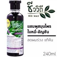 ราคา ชีววิถี แชมพูสมุนไพร สูตรใบหมี่ อัญชัน 240 มล (23106872099)