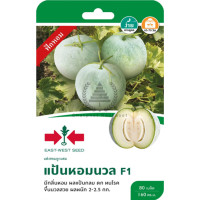 ราคา เมล็ดพันธ์ุ แฟงหอมลูกผสม แป้นหอมนวล ตราศรแดง (16222197541)