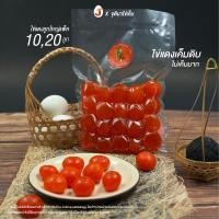 ราคา ไข่แดงเค็ม จุติมาไข่เค็มไชยา แพ็คสูญญากาศ 10 และ 20 ลูก (21901661775)