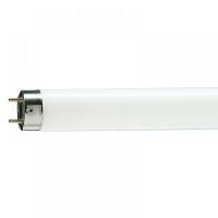 ราคา หลอด 15W แบรน์วันเกรท ยาว 40เซน แสงขาว นีออน 15วัตต์ หลอดนีออน (21519605763)