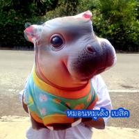 ราคา หมอนตุ๊กตาหมูเด้ง ฮิปโปแคระ สีสวย คมชัด ขนาด 45 ซม (23104201795)