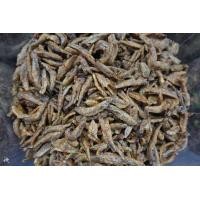 ราคา ปลากรอบงา ปลากรอบไม่โรยงา ปลากรอบสมุนไพร ปลาชุบแป้ง ปลาชุบแป้งสมุนไพร (22688879922)