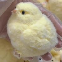 ราคา Sanhe ของเล่นยางบีบตุ๊กตานุ่มนิ่ม TPU ลูกเจี๊ยบน่ารัก (22606414441)