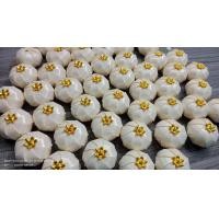 ราคา เหรียญโปรยทานถุงเงินถุงทอง (22824816761)