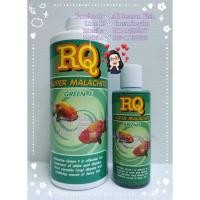 ราคา RQ Super Malachite Green F ซุปเปอร์ มาลาไคท์ กรีน เอฟ (17444861917)
