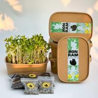 ราคา ชุดปลูกต้นอ่อนทานตะวัน Microgreens Sunflower Sprouts Growing Kit (22525230929)